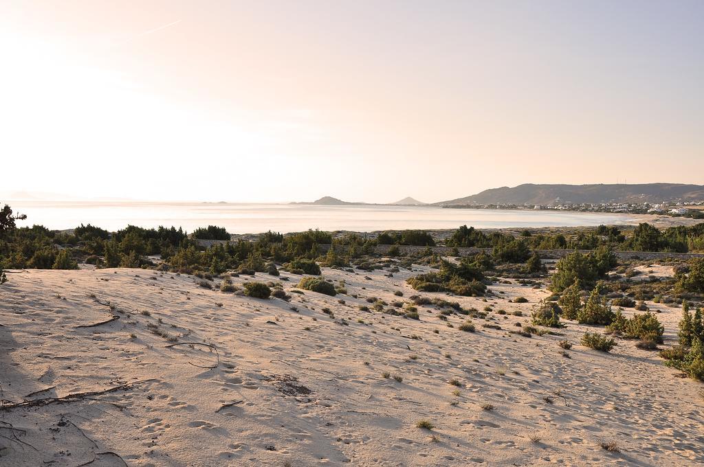 Villa Alyko Παραλία Αλικό Εξωτερικό φωτογραφία
